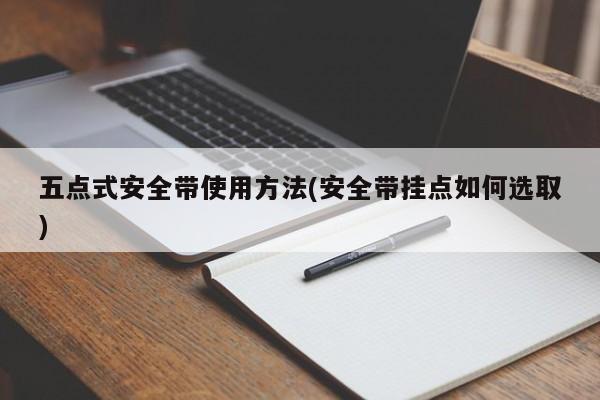 五点式安全带使用方法(安全带挂点如何选取)