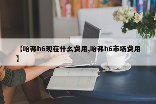 【哈弗h6现在什么费用,哈弗h6市场费用】