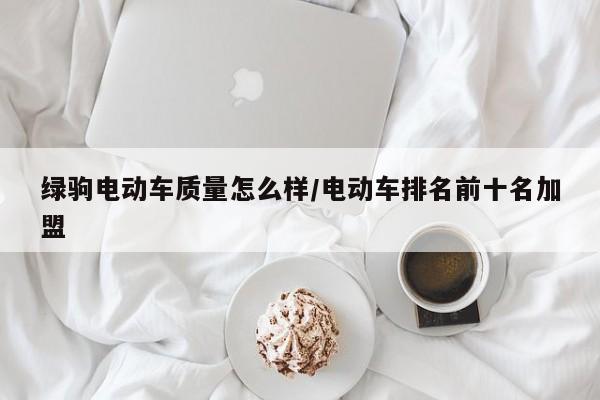 绿驹电动车质量怎么样/电动车排名前十名加盟