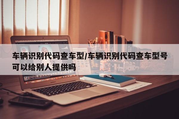 车辆识别代码查车型/车辆识别代码查车型号可以给别人提供吗